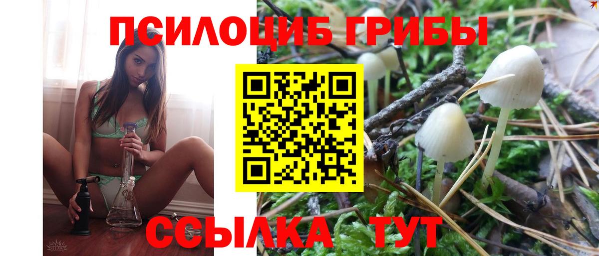 Псилоцибиновые грибы Magic Shrooms  купить наркотики цена  Сыктывкар  Вход с VPN 